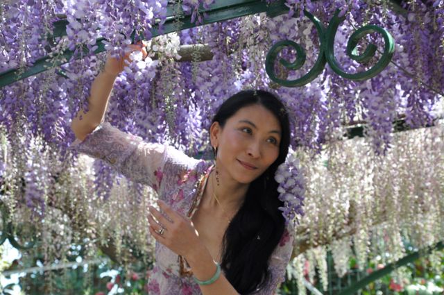 Chao Hsiu Chen  and Wisteria in Appia Antica - Rome 16