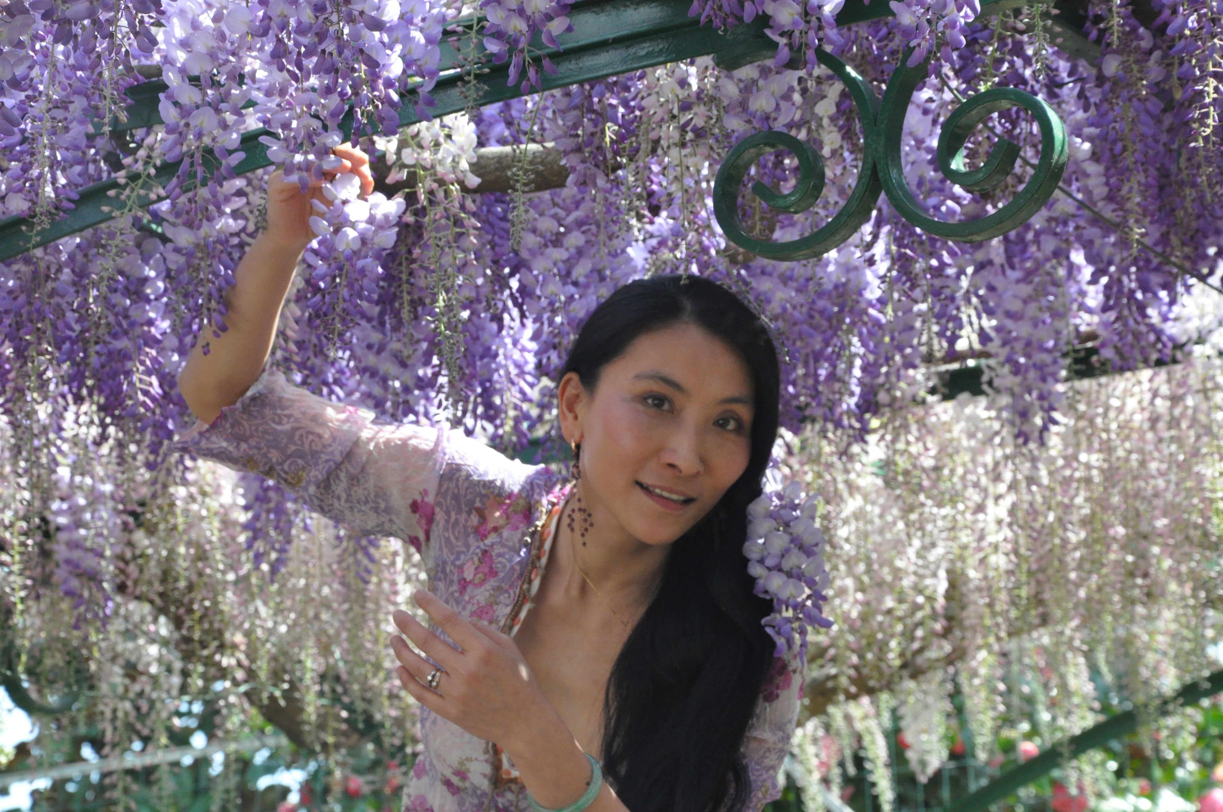 Chao Hsiu Chen  and Wisteria in Appia Antica - Rome 2