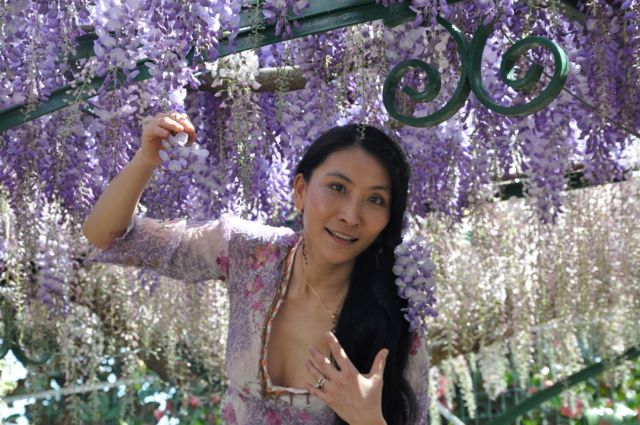 Chao Hsiu Chen  and Wisteria in Appia Antica - Rome 18