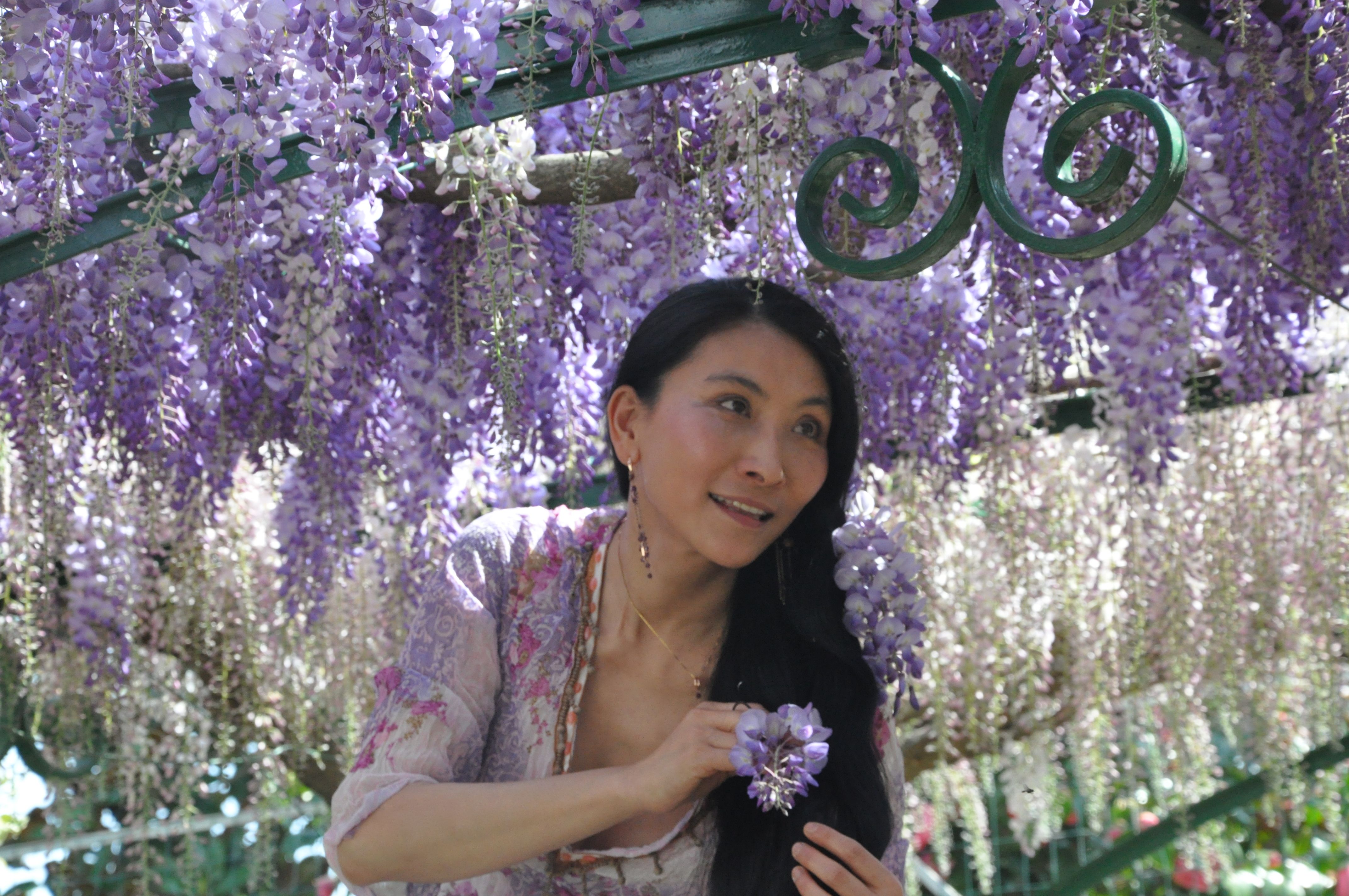 Chao Hsiu Chen  and Wisteria in Appia Antica - Rome 2