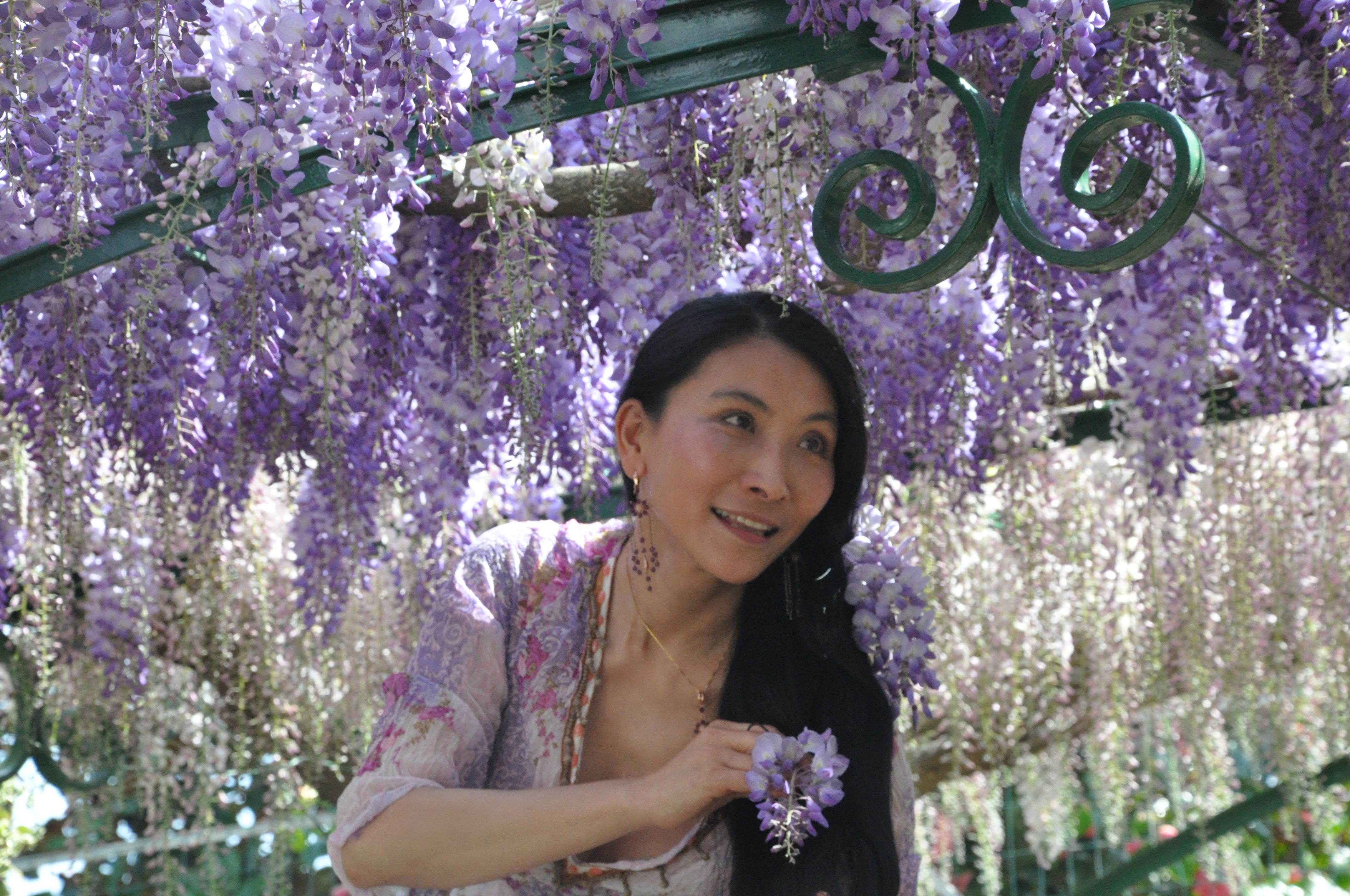 Chao Hsiu Chen and Wisteria in Appia Antica - Rome 2