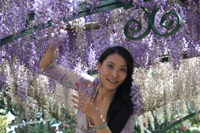 Chao Hsiu Chen  and Wisteria in Appia Antica - Rome 24