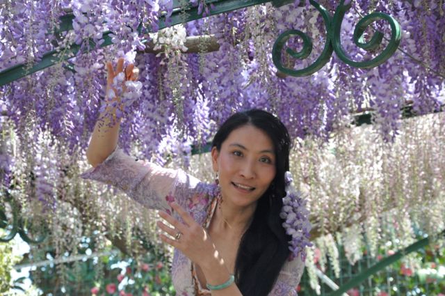 Chao Hsiu Chen  and Wisteria in Appia Antica - Rome 25