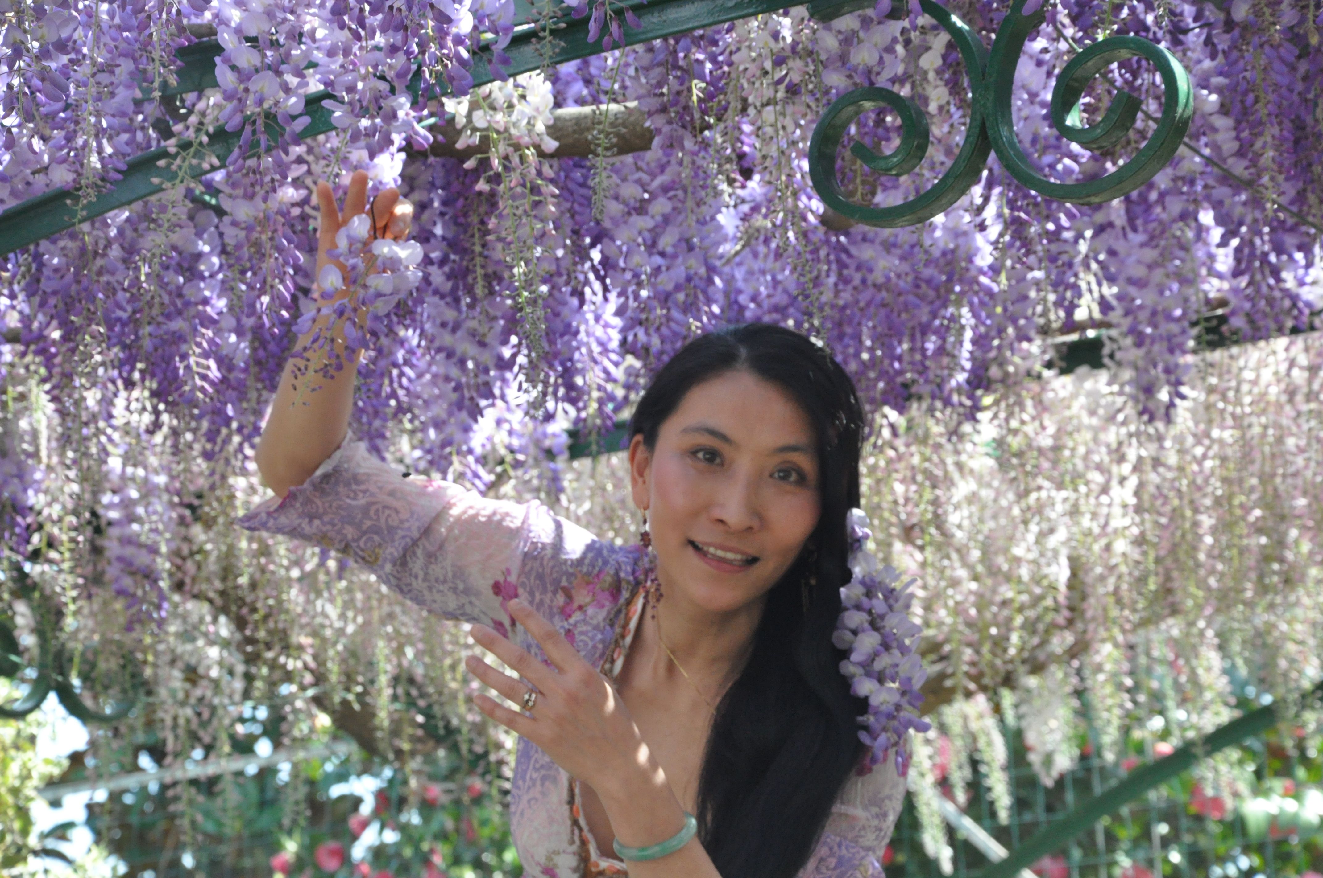 Chao Hsiu Chen and Wisteria in Appia Antica - Rome 2