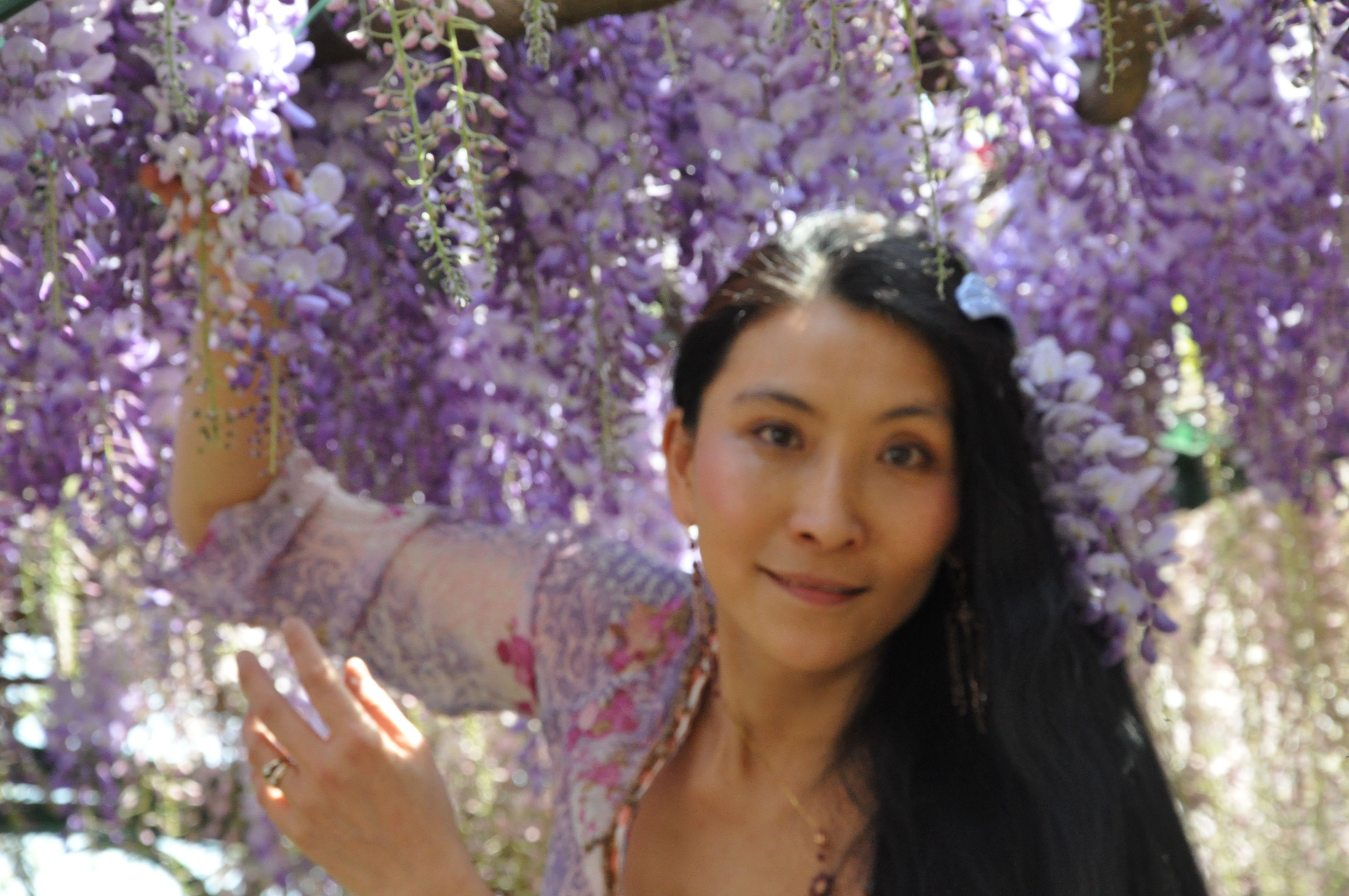 Chao Hsiu Chen and Wisteria in Appia Antica - Rome 2