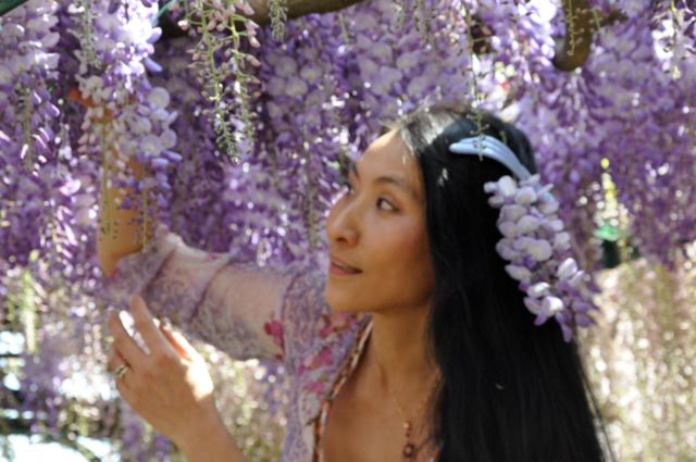 Chao Hsiu Chen  and Wisteria in Appia Antica - Rome 30