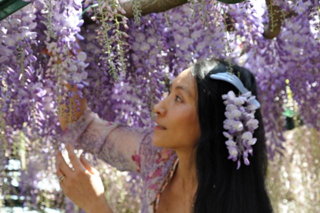 Chao Hsiu Chen  and Wisteria in Appia Antica - Rome 31