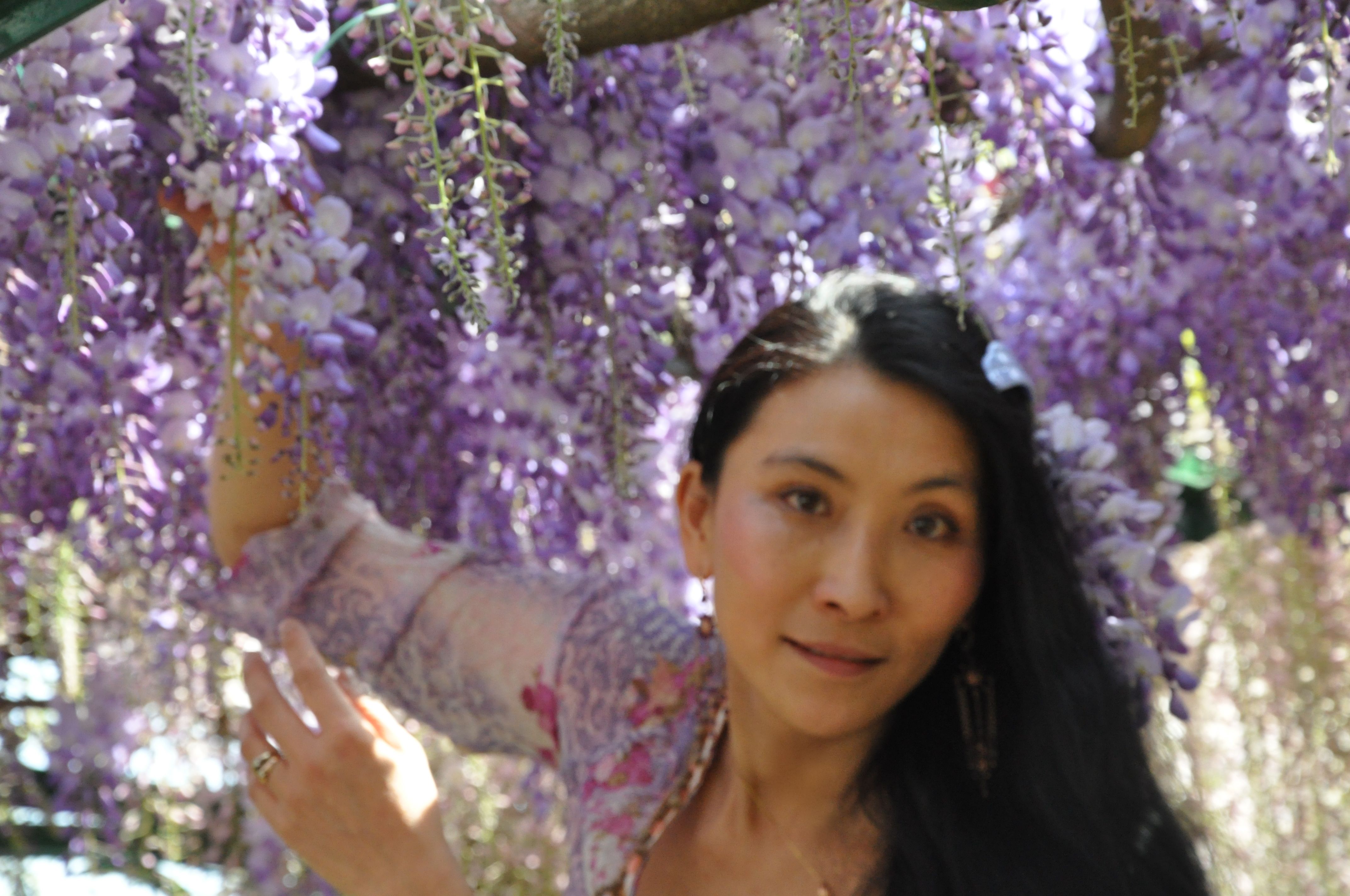 Chao Hsiu Chen and Wisteria in Appia Antica - Rome 2