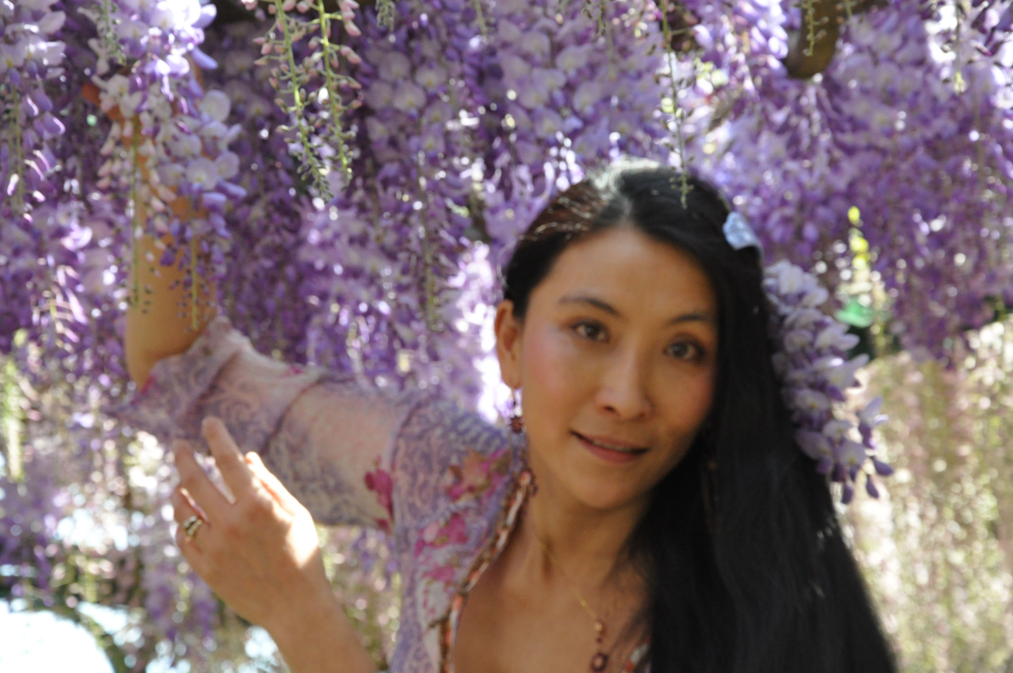 Chao Hsiu Chen and Wisteria in Appia Antica - Rome 2