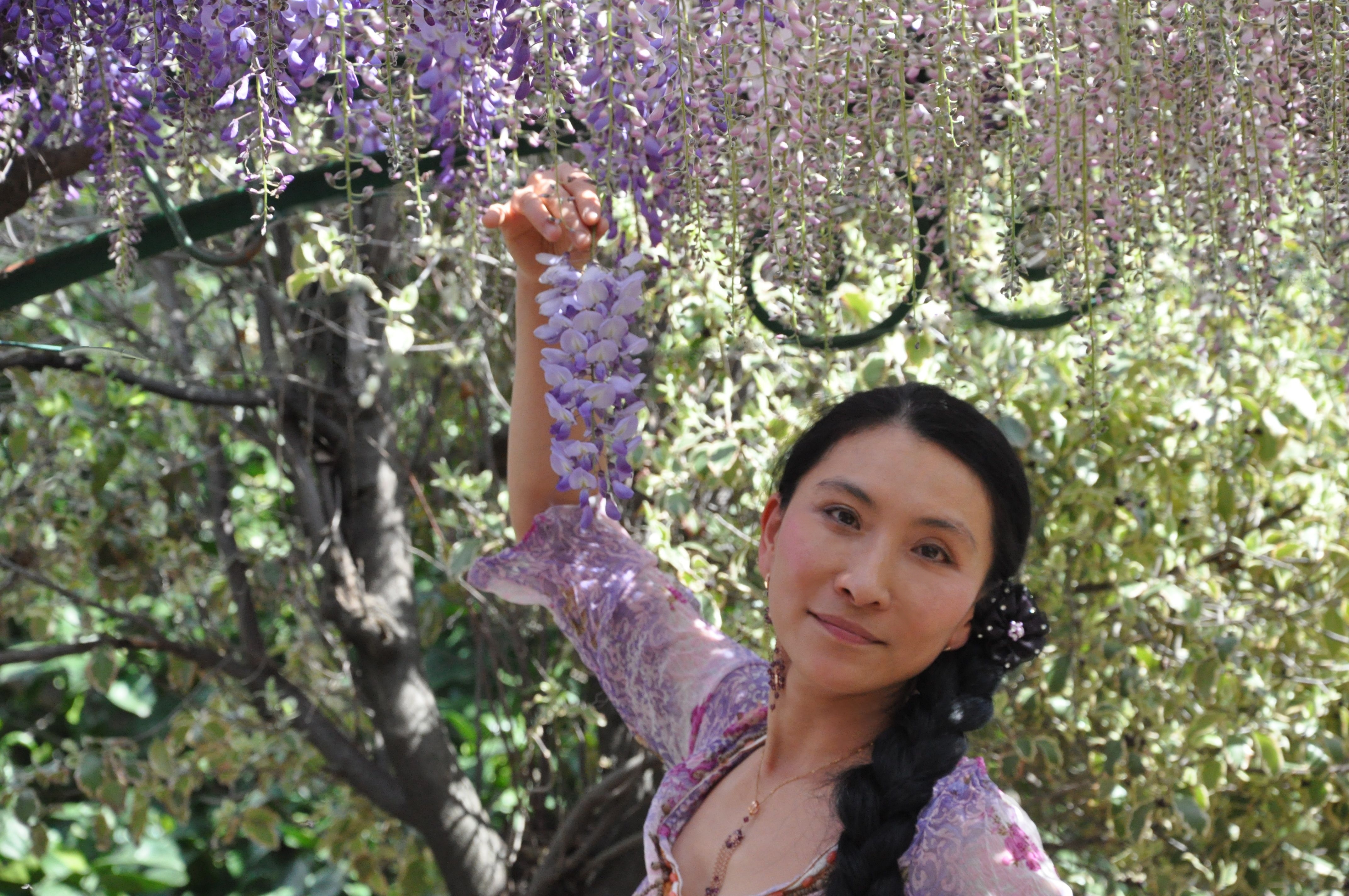 Chao Hsiu Chen and Wisteria in Appia Antica - Rome 2