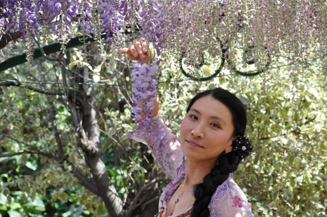 Chao Hsiu Chen  and Wisteria in Appia Antica - Rome 4