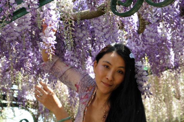 Chao Hsiu Chen  and Wisteria in Appia Antica - Rome 40