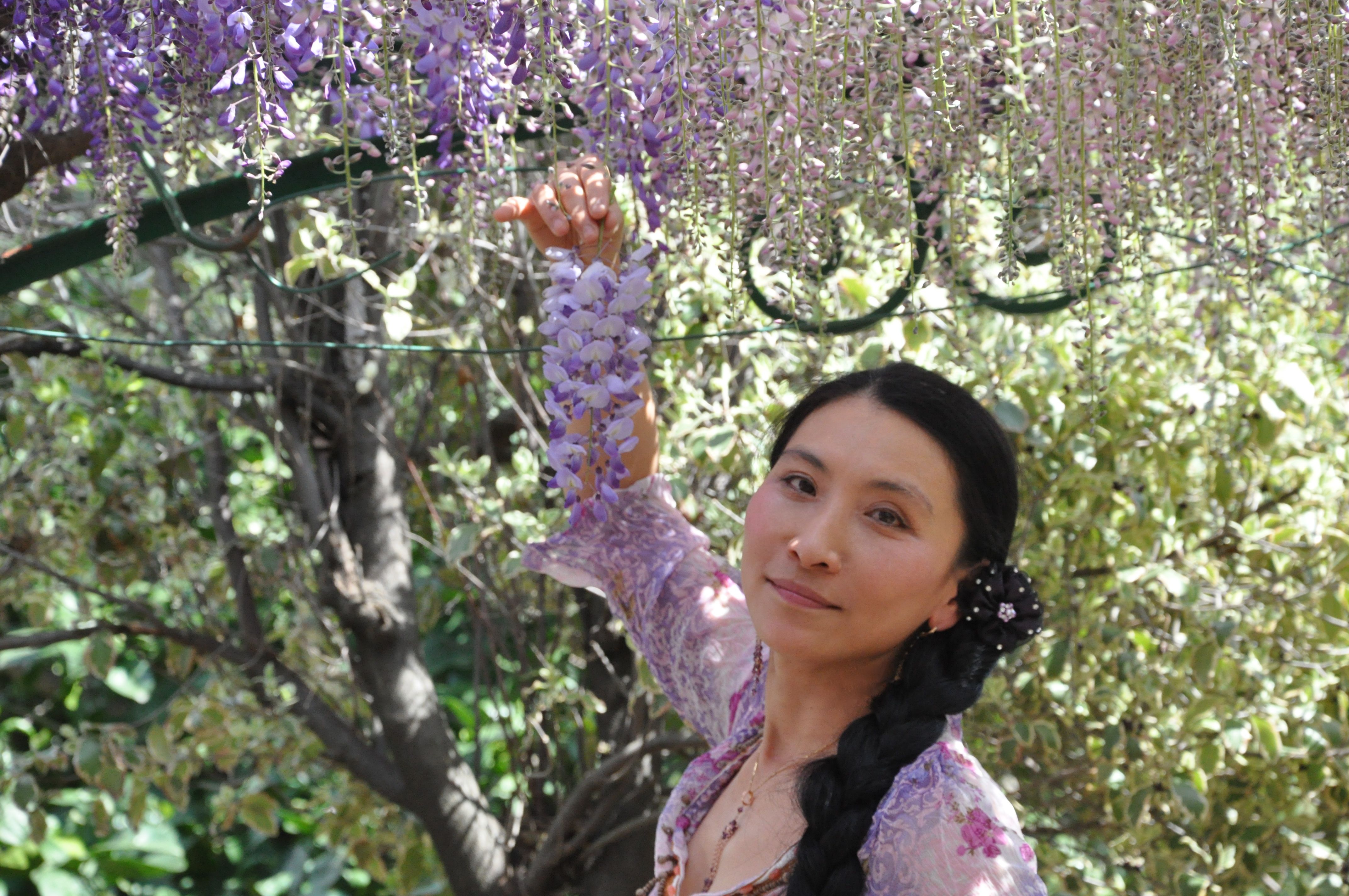 Chao Hsiu Chen and Wisteria in Appia Antica - Rome 2