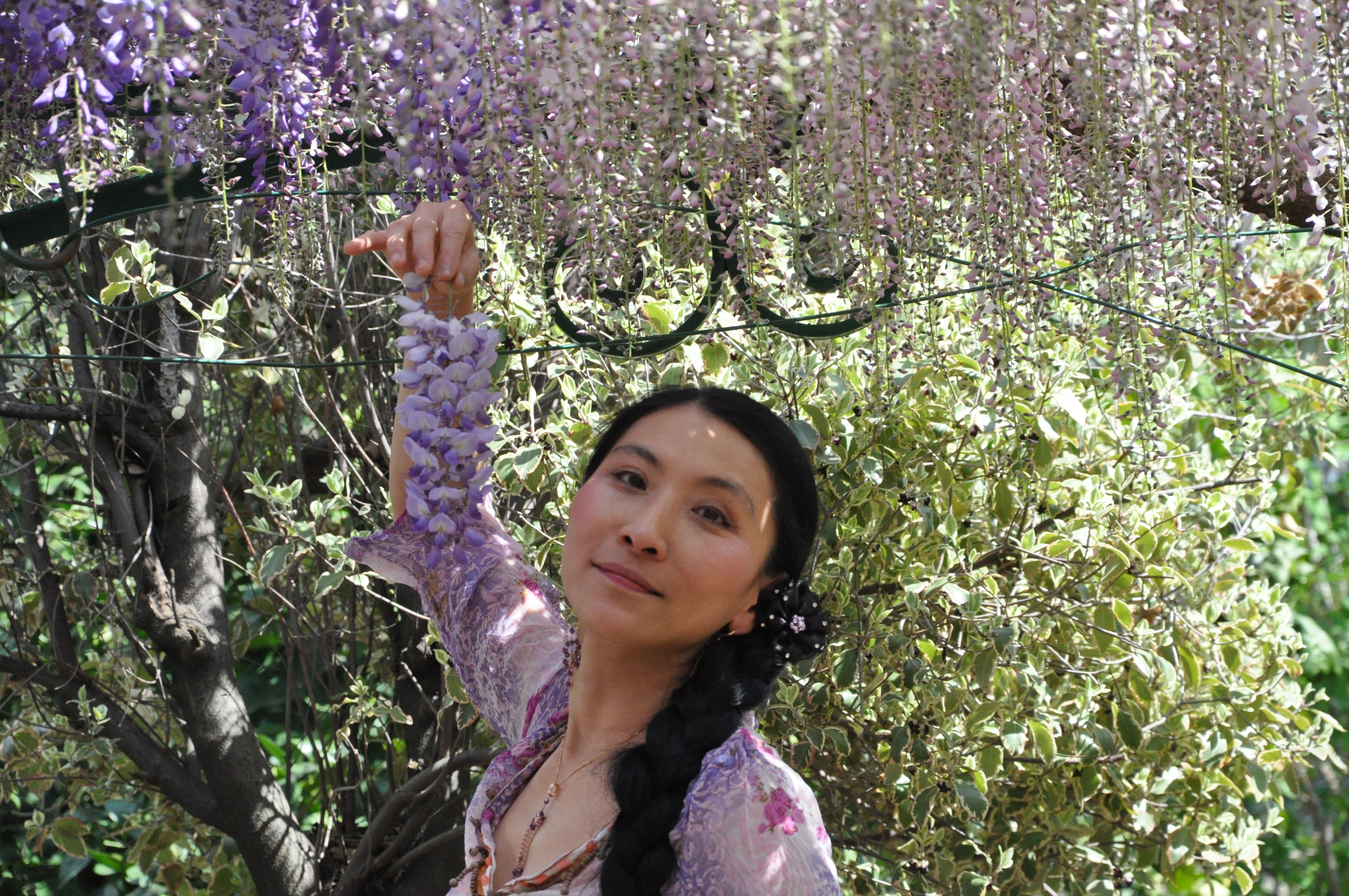 Chao Hsiu Chen and Wisteria in Appia Antica - Rome 2