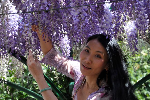 Chao Hsiu Chen  and Wisteria in Appia Antica - Rome 6