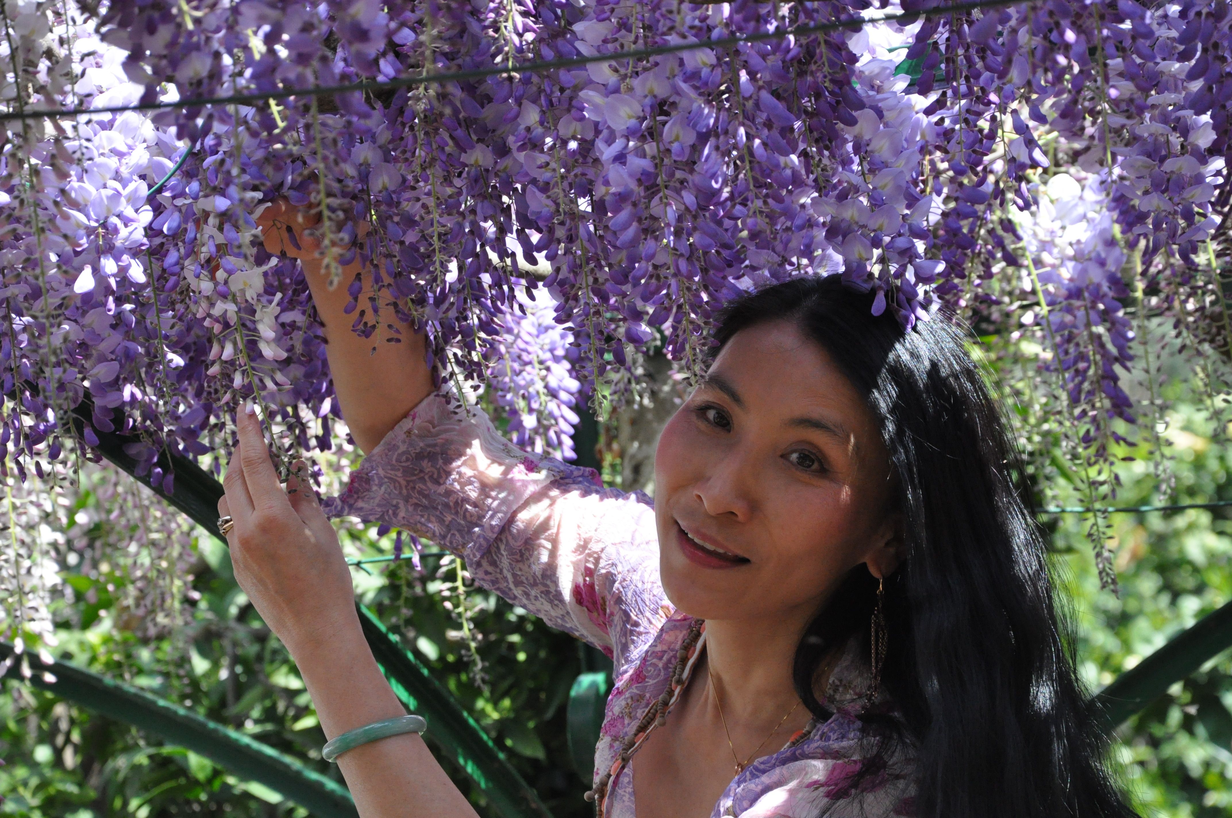 Chao Hsiu Chen and Wisteria in Appia Antica - Rome 2