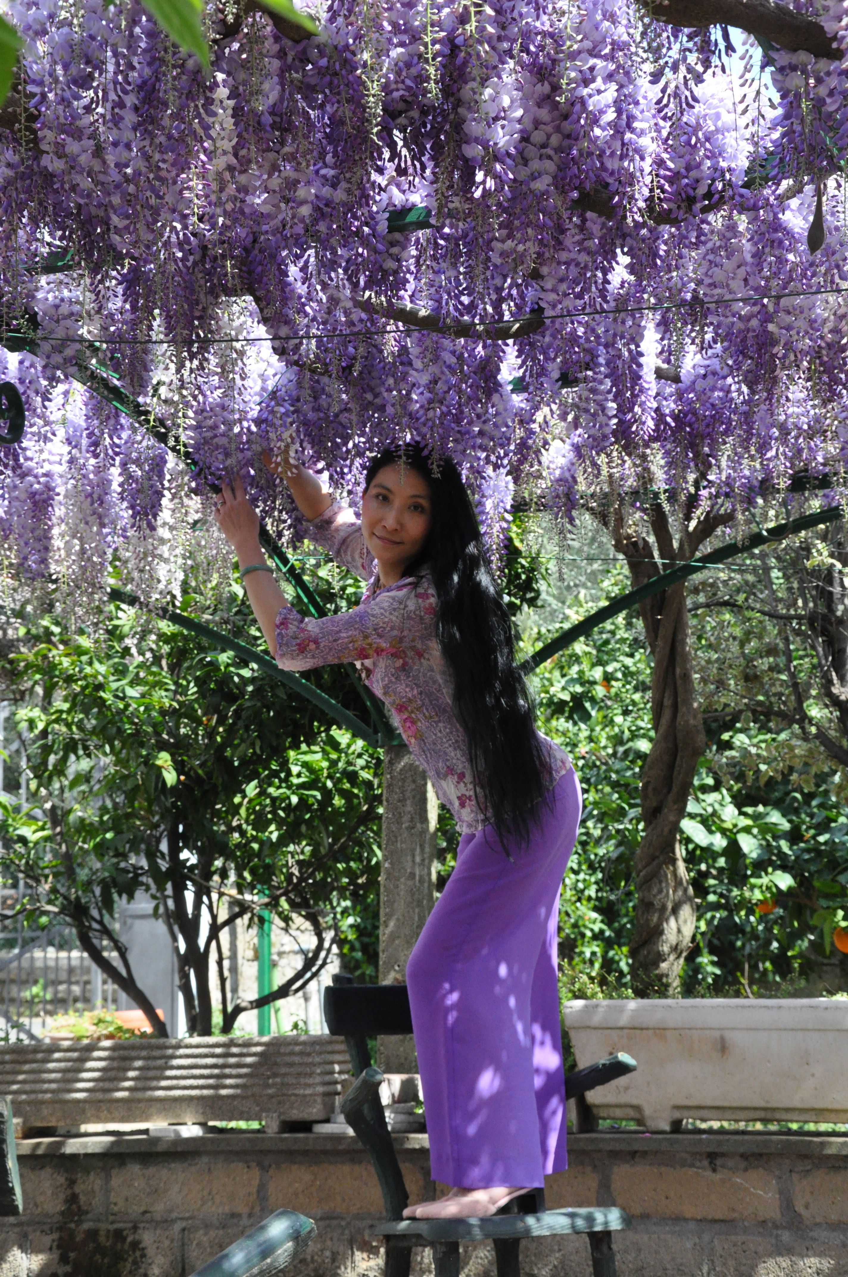 Chao Hsiu Chen and Wisteria in Appia Antica - Rome 2