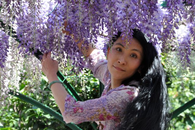 Chao Hsiu Chen  and Wisteria in Appia Antica - Rome 9